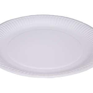 White paper plate 9"