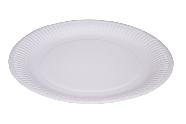 White paper plates 9"