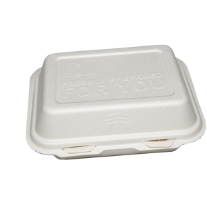 Biodegradable Burger and Chips Box