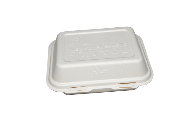 Biodegradable Burger and Chips Box