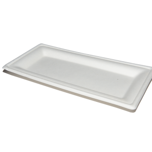 Bagasse Rectangular Plate