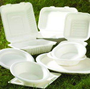 Biodegradable Food Packaging