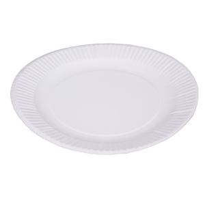 White Paper Plates