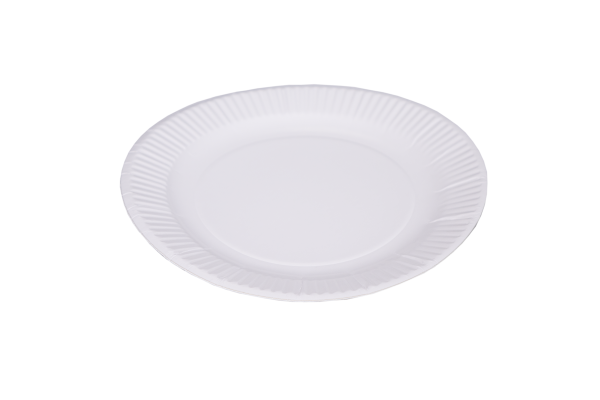 White Paper Plates