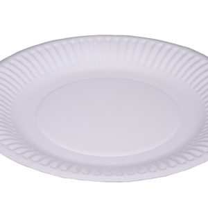 White Paper Plate