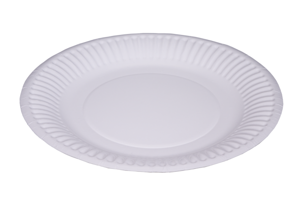 White Paper Plate