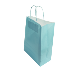 Paper Bags With Twisted Handle