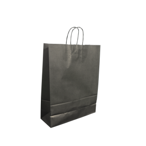 Paper Bags With Twisted Handle