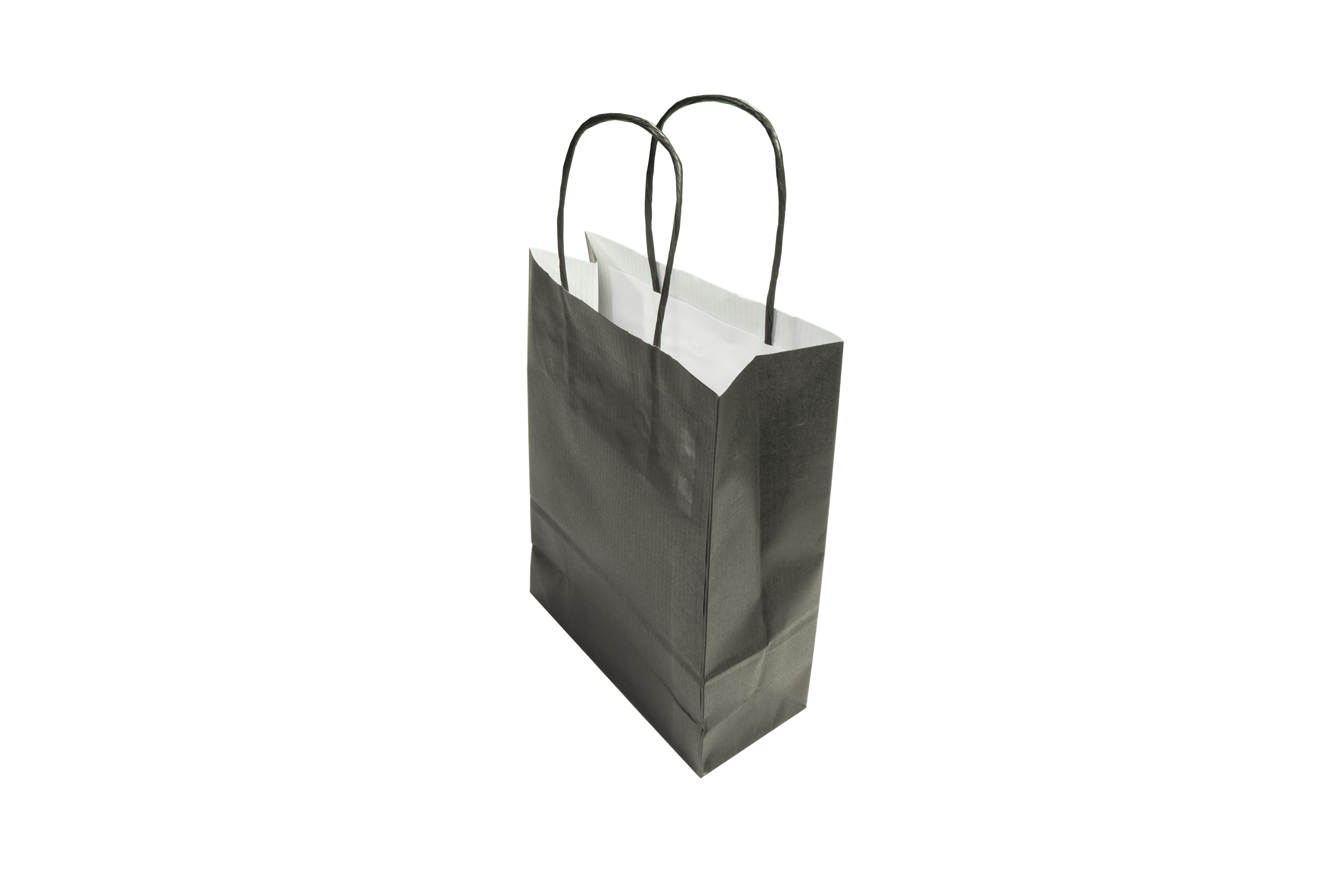 Paper Bags With Twisted Handle