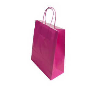 Paper Bags With Twisted Handle