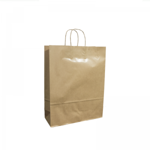 Paper Bags With Twisted Handle