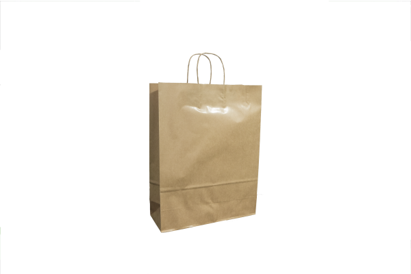 Paper Bags With Twisted Handle