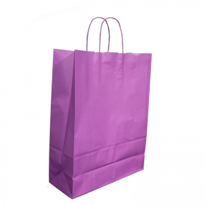 Paper Bags With Twisted Handle
