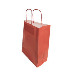 Paper Bags With Twisted Handle