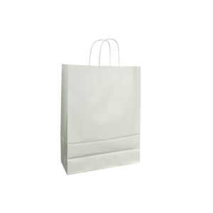 Paper Bags With Twisted Handle