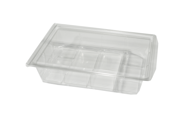 Rectangular Hinged Lid Salad Box