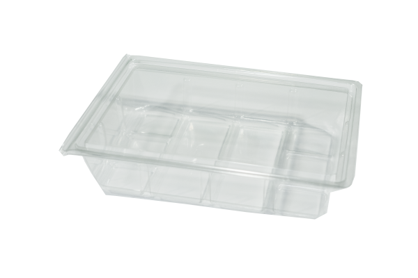 Hinged Lid Salad Box