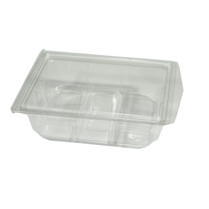 Hinged Lid Salad Box