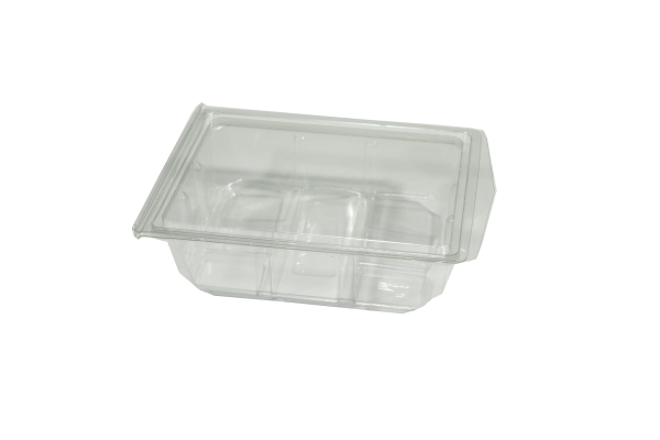 Hinged Lid Salad Box