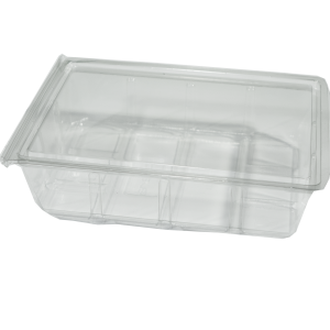 Hinged Lid Salad Box