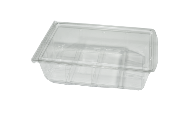 Hinged Lid Salad Box