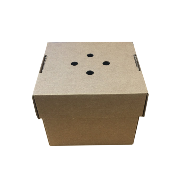 Small Corrugated Brown Burger Boxes